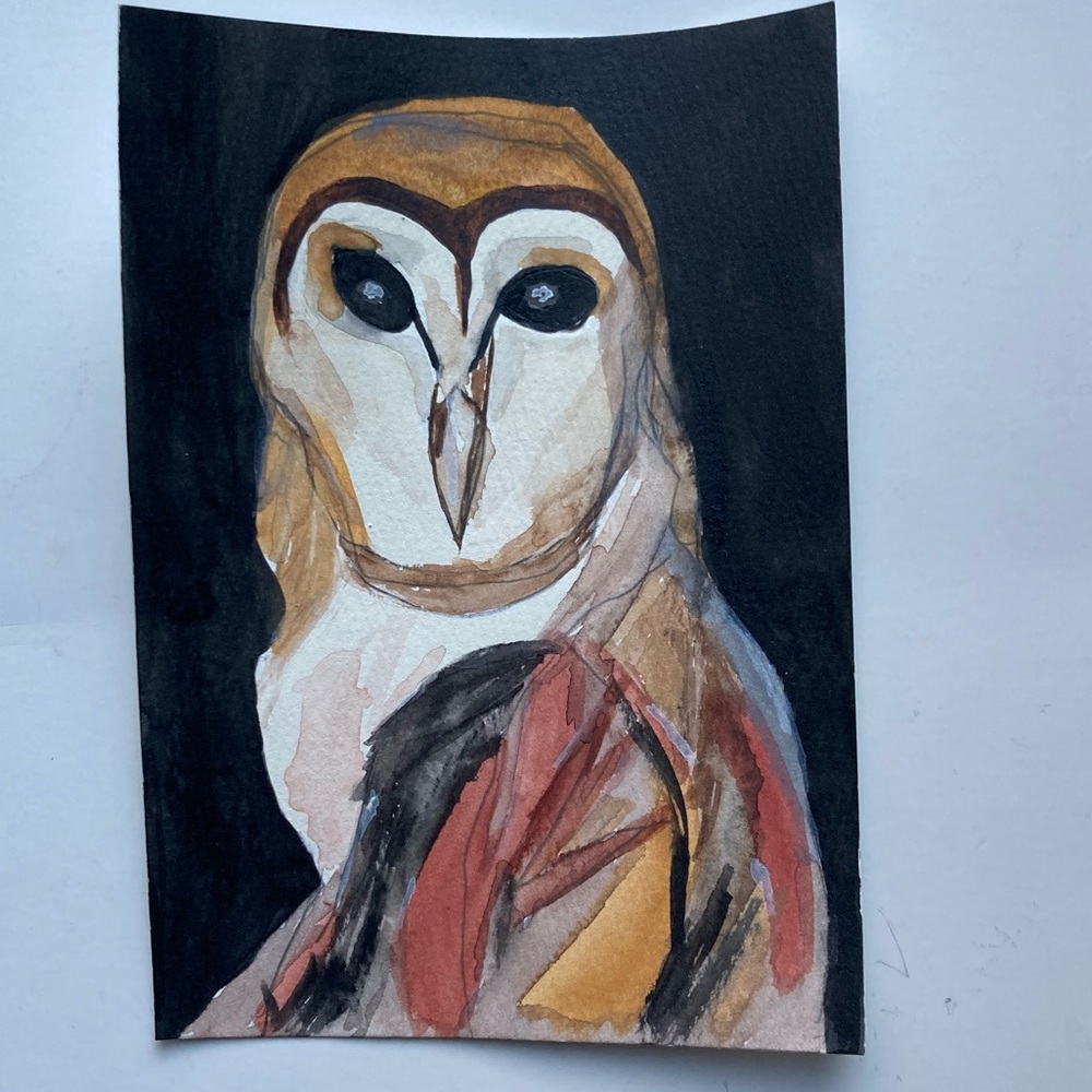 Barn Owl Watercolor Art